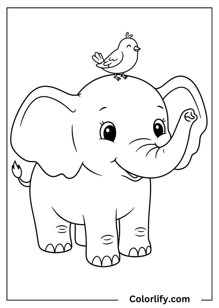 A coloring page of a cute baby elephant with a small bird perched on top of its head.