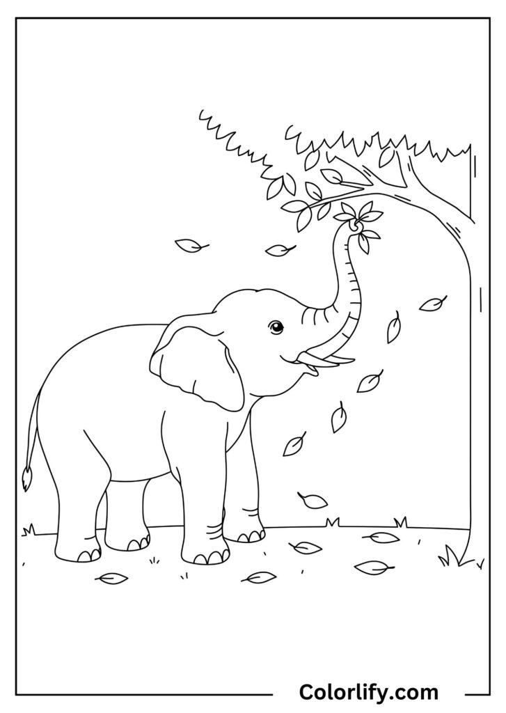 A coloring page of an elephant reaching up with its trunk to eat leaves from a tall tree.