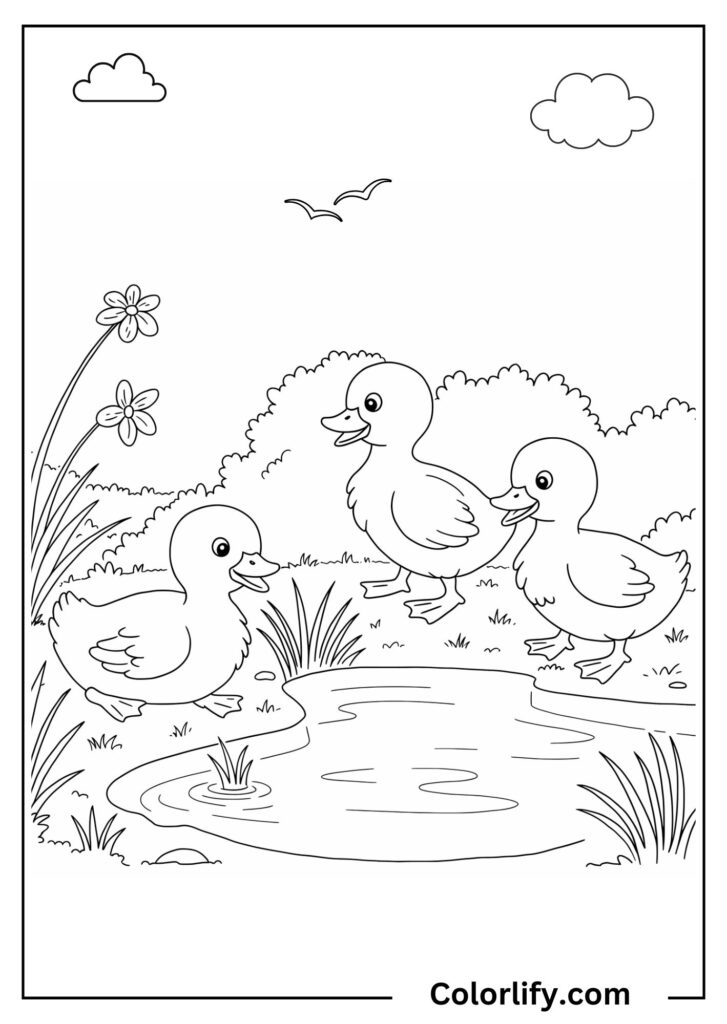 A coloring page of ducklings swimming and playing in a pond with water lilies and reeds.